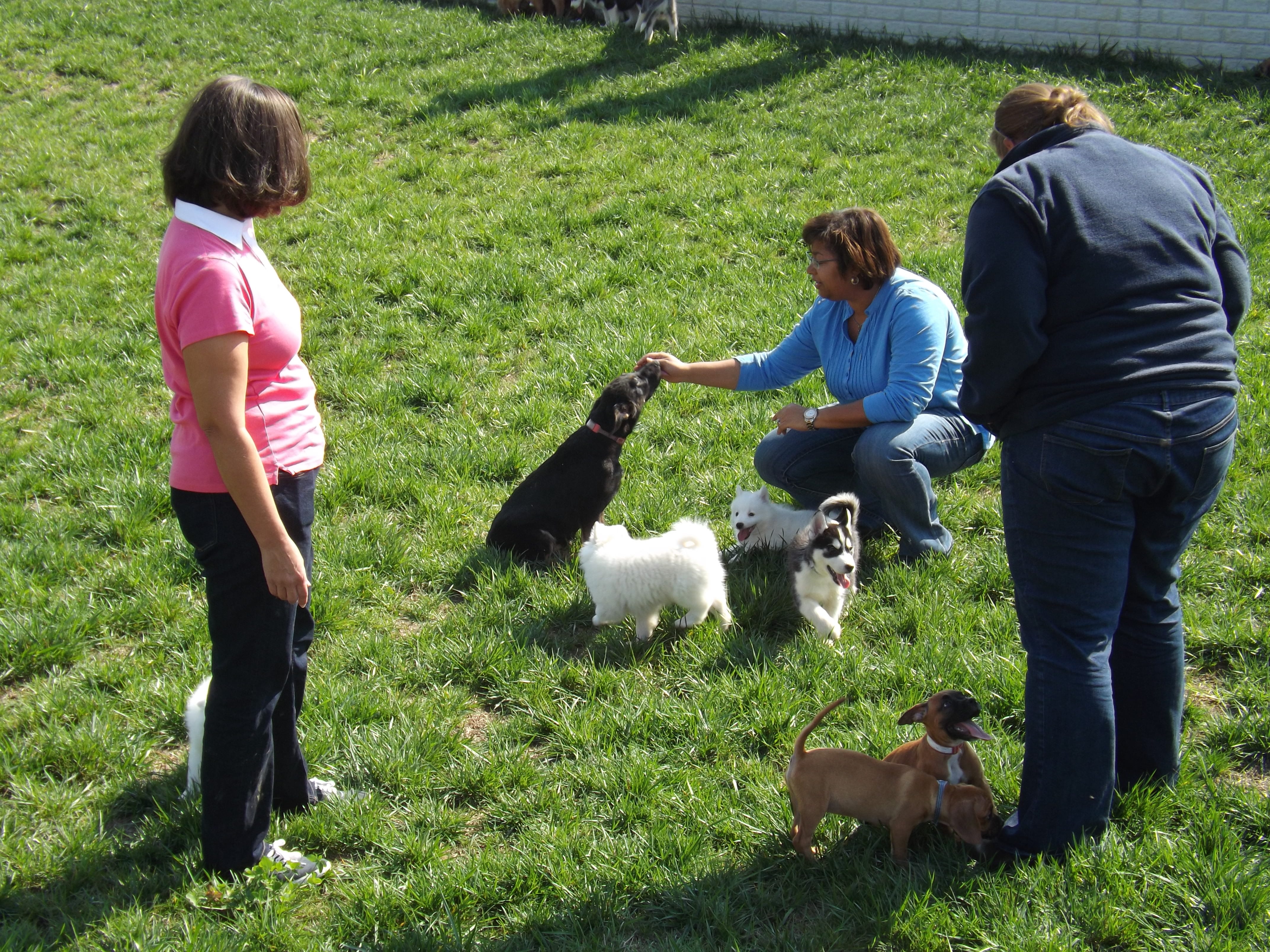 dog breeding farms near me